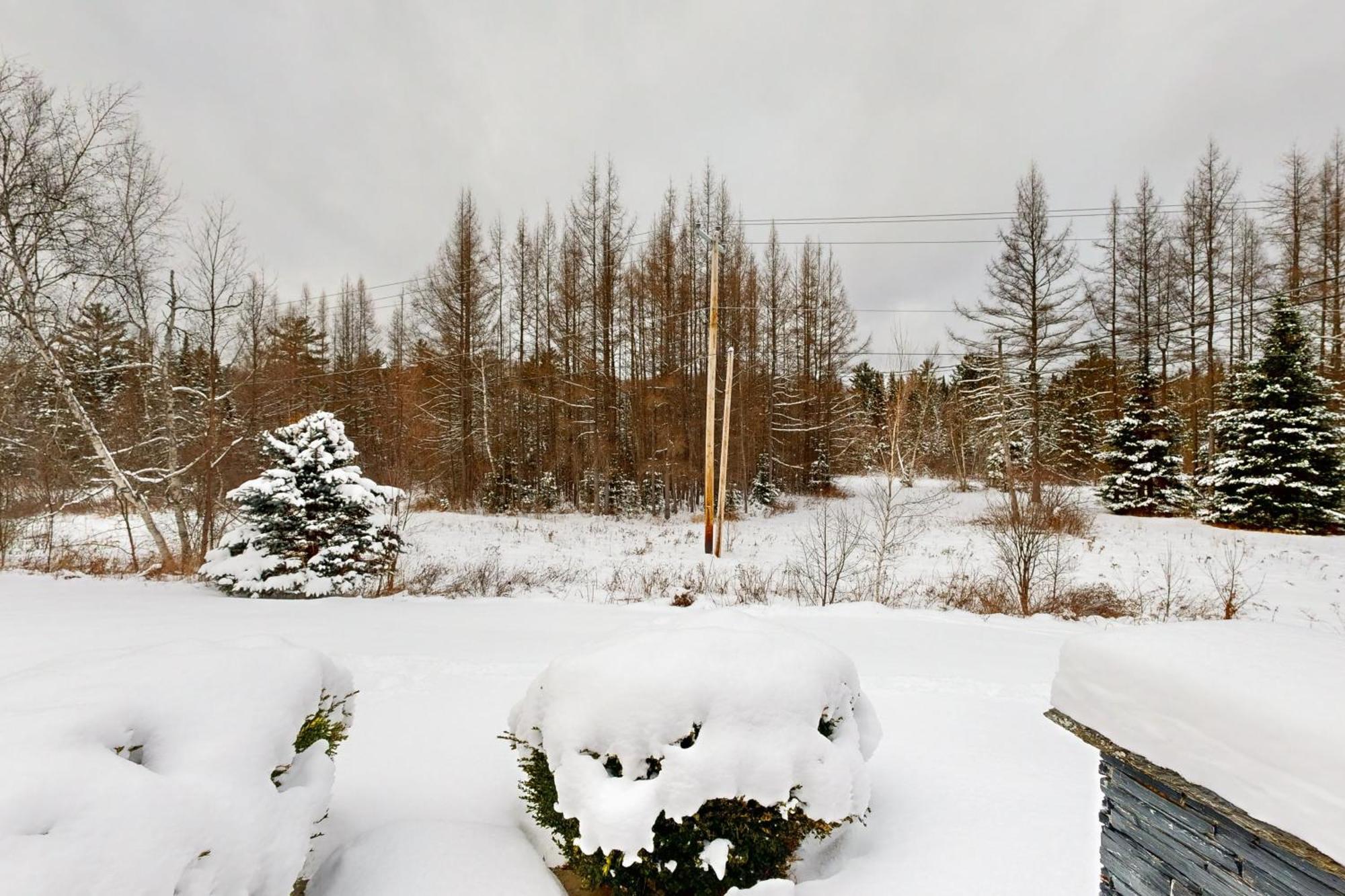 Twin View Log Home Carroll Extérieur photo